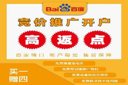 sem竞价托管代运营的实战技巧与案例